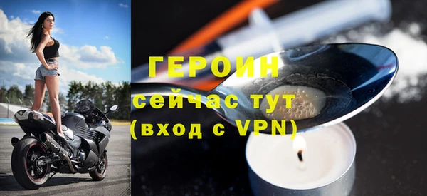 прущие грибы Сосновоборск