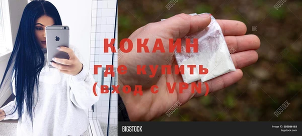 прущие грибы Сосновоборск