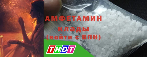 прущие грибы Сосновоборск