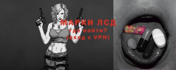 прущие грибы Сосновоборск