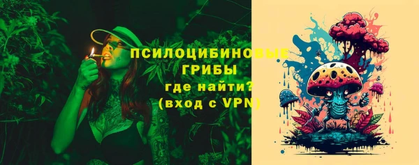 прущие грибы Сосновоборск