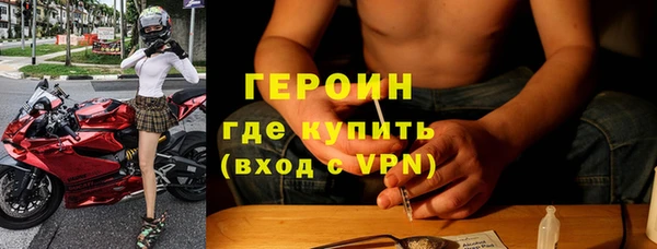 прущие грибы Сосновоборск